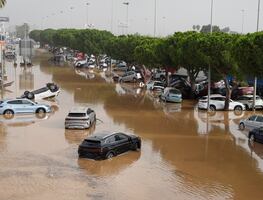 Dana, la palabra del año; el temporal dejó al menos 231 muertos y pérdidas materiales multimillonarias en España