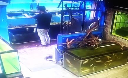Video. Joven roba peces en la bolsa de su pantalón en Guadalajara