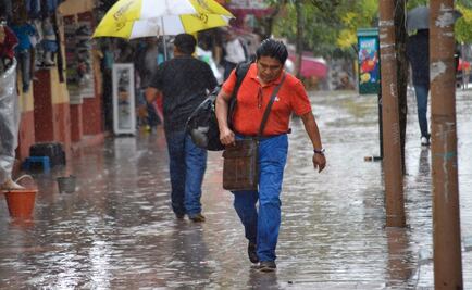 Lluvias en Guerrero provocan suspensión de energía y caída de árboles