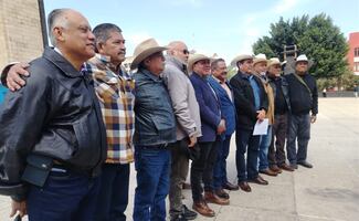 Rechaza PVEM en el Senado reforma electoral que reduzca pluris y presupuesto a partidos; no están a discusión, afirman