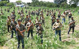 Urgen desplazados a combatir a Los Ardillos