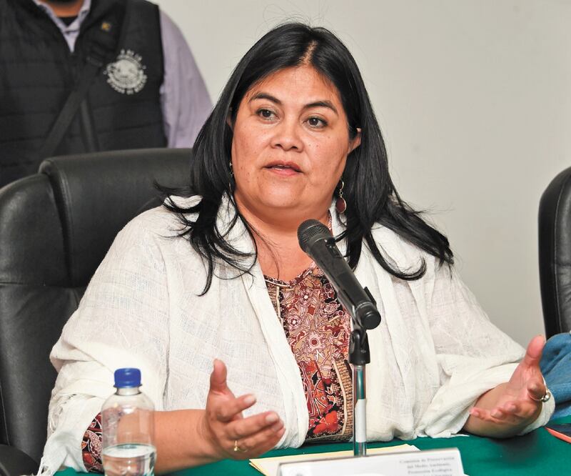 La diputada Guadalupe Chavira de la Rosa explicó que son los mismos legisladores de su partido los que descalifican y se burlan de Tercera Vía. Foto/ARCHIVO EL UNIVERSAL