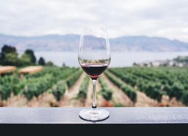 Los 6 estados vitivinícolas más importantes de México