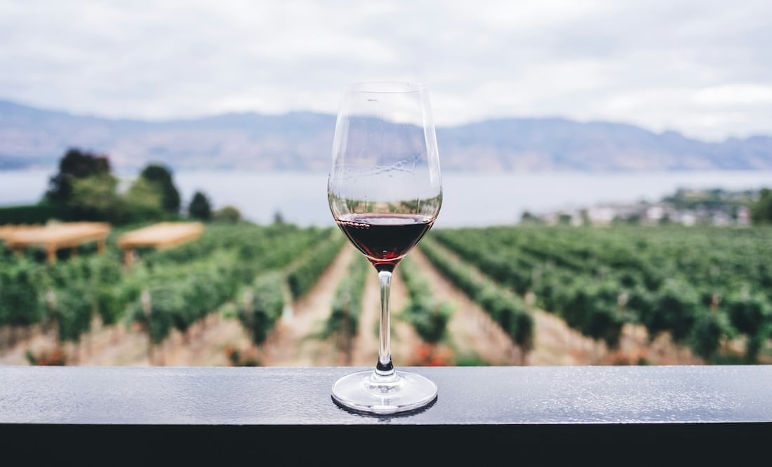 Aprender sobre vino mexicano, es ideal para cualquier sommelier. Foto: Unsplash