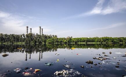 Detectan virus de poliomielitis en aguas negras en Londres; recomiendan vacunar a menores