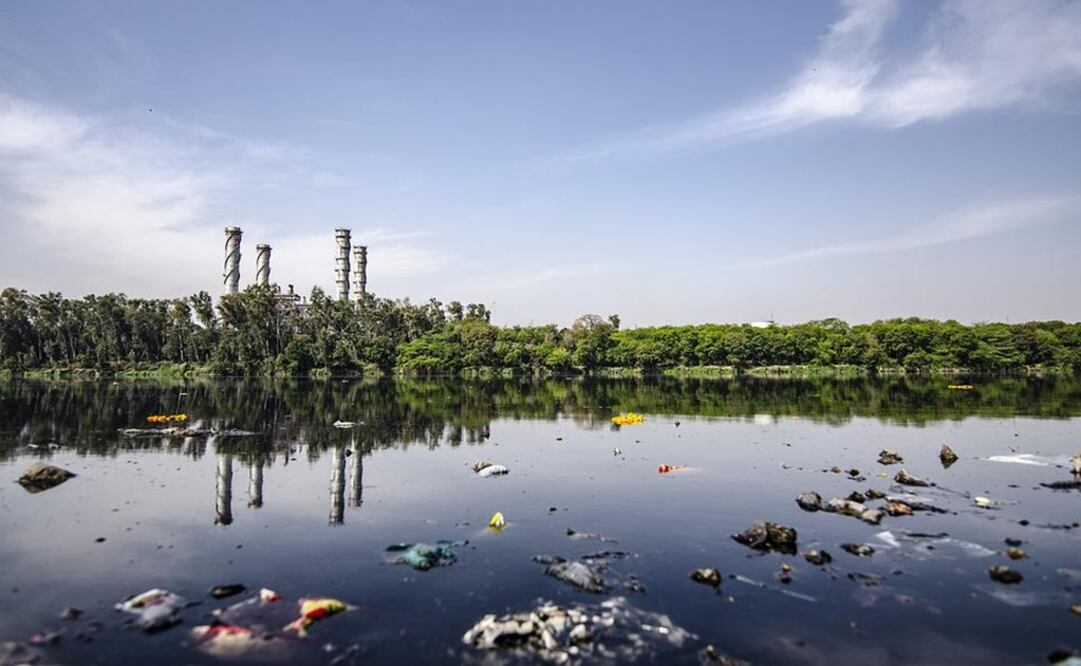 Foto: Ilustrativa. Pixabay 