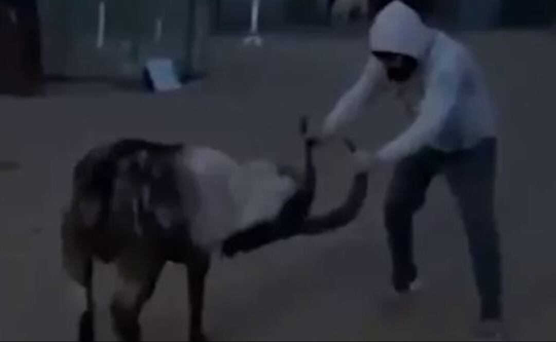 FOTO TOMADA DE VIDEO