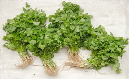 Diferencias entre cilantro y perejil
