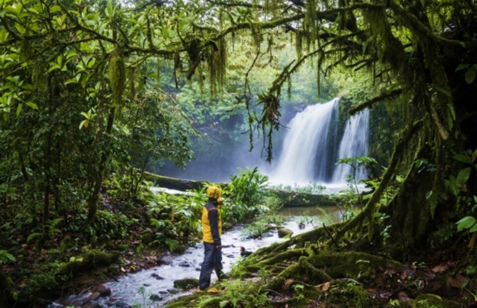 5 bosques donde escapar de la mala calidad del aire de la CDMX