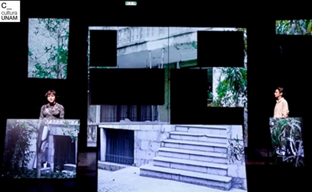 Foto: Twitter / Comunidad Cultural UNAM