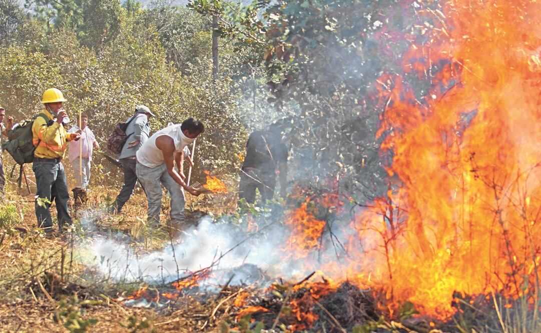 Paola y Rubén, dos estudiantes de Querétaro, ganaron el concurso a través de la creación de un sistema temprano de detección de incendios forestales - Foto: Edwin Hernández/EL UNIVERSAL