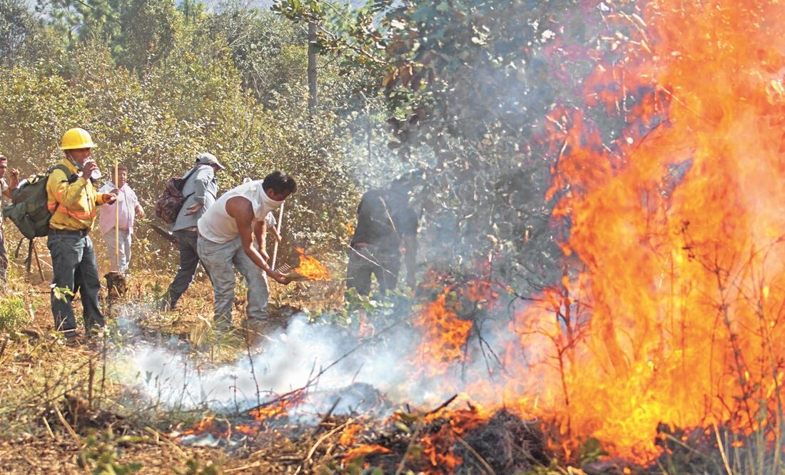 Paola y Rubén, dos estudiantes de Querétaro, ganaron el concurso a través de la creación de un sistema temprano de detección de incendios forestales - Foto: Edwin Hernández/EL UNIVERSAL