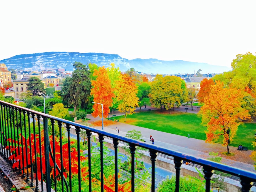 Cada año, durante el invierno se celebra en Ginebra el Festival de árboles y luces. (Foto: Istock)