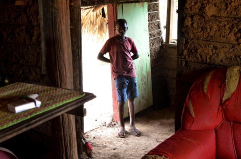 Conmueve foto de niño brasileño que encontró un árbol de Navidad en la basura