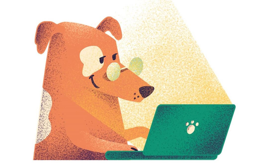 Infografía: ANI CORTÉS