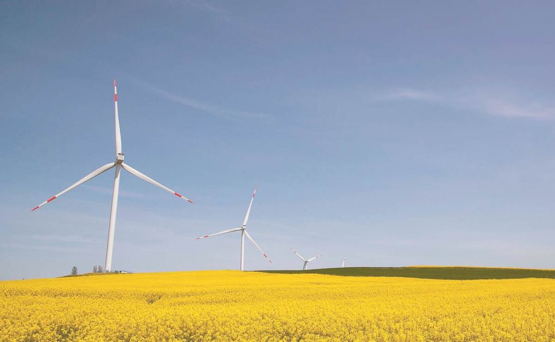 Foto: Archivo EL UNIVERSAL