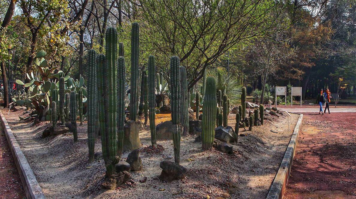 Jardín Botánico de Chapultepec. (Foto: Archivo El Universal)