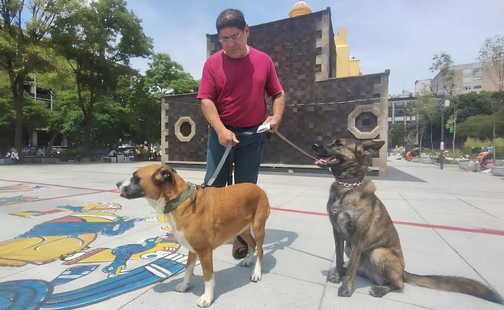 Un vecino de la alcaldía Cuauhtémoc acudió con sus perritas Maya y Jocelyn, ambas de tres años, para aplicarles la vacuna contra la rabia. 23/09/2026. | Foto: Arantxa Meave.