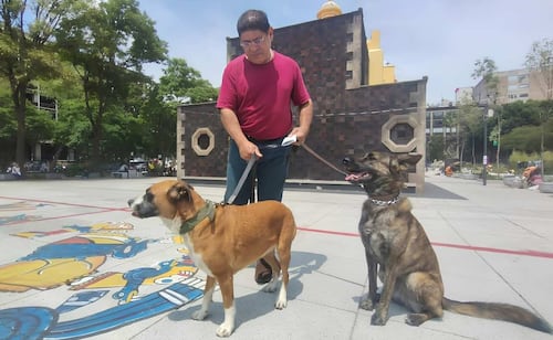 Un vecino de la alcaldía Cuauhtémoc acudió con sus perritas Maya y Jocelyn, ambas de tres años, para aplicarles la vacuna contra la rabia. 23/09/2026. | Foto: Arantxa Meave.
