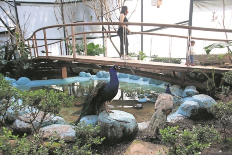 Aviario Abraham Lincoln. Foto: Archivo EL UNIVERSAL