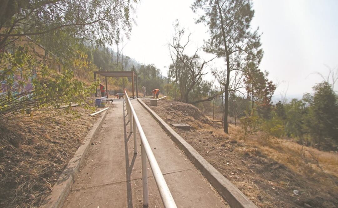 El cadáver del estudiante del Instituto Tecnológico de GAM fue hallado en una zona boscosa. Foto: Archivo/ El Universal.