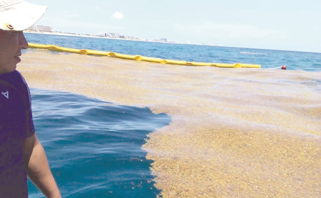 El gobierno estatal ha instalado los primeros 300 metros de la valla a la altura de Punta Nizuc, de los 27 kilómetros que se contemplan para contener el sargazo. Foto: CORTESÍA GOBIERNO DE QUINTANA ROO