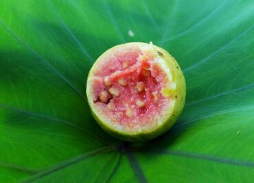 Qué tan saludable es comer guayabas