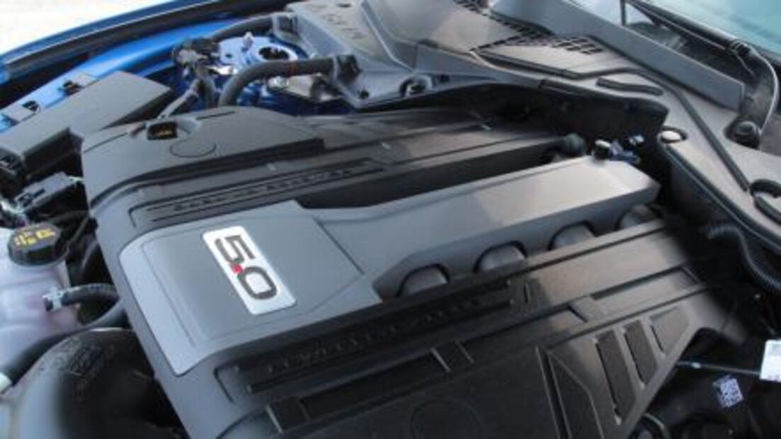 Nuevo Mustang, un pura sangre difícil de domar