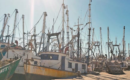 Cierran 3 oficinas de Conapesca