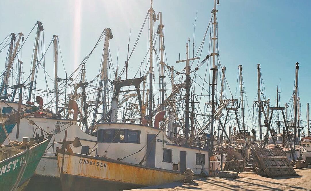 Con el cierre de oficinas donde se hacían avisos de arribos y se solicitaba apoyo para cooperativas, 10 mil pescadores fueron afectados, dice dirigente. Foto: ARCHIVO EL UNIVERSAL