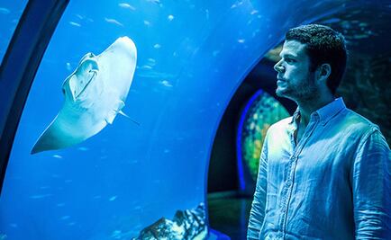 El hombre que unió los cinco continentes a brazadas