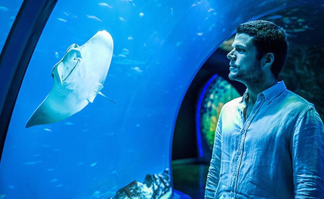 Nacho Dean. Foto: SINC