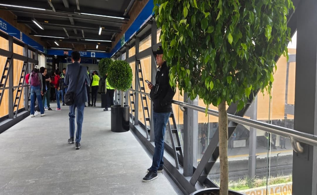 Metro Portales estrena árboles y áreas verdes. Foto: Frida Sánchez