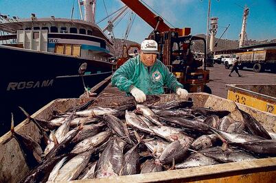 Grupomar invertirá mil mdp en México