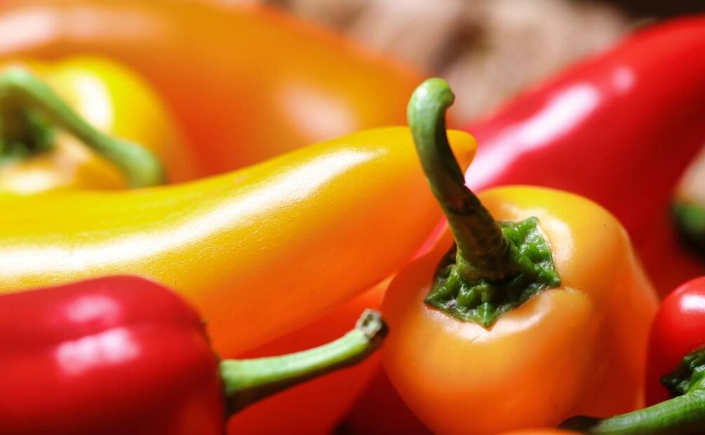 Foto: Nick Collins / Pexels