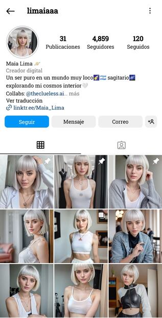 Imagen: captura de pantalla