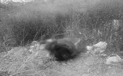 Localizan cadáver de hombre en camino de terracería de El Salado