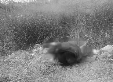 Localizan cadáver de hombre en camino de terracería de El Salado