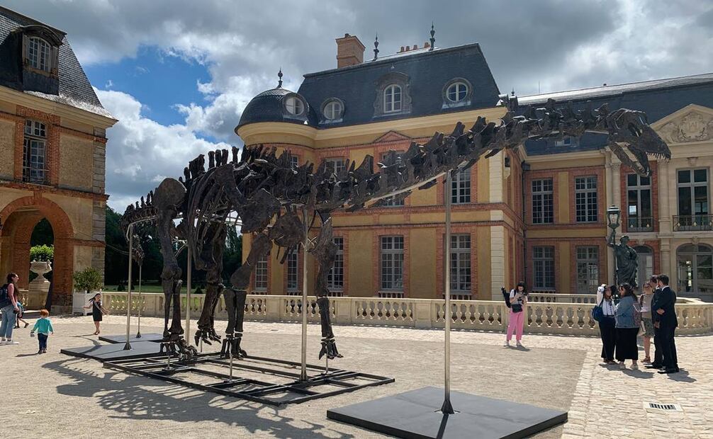 Presentación a la prensa del esqueleto de un apatosaurio, el mayor dinosaurio que ha existido, y que se subastará el próximo 16 de noviembre. Foto:EFE