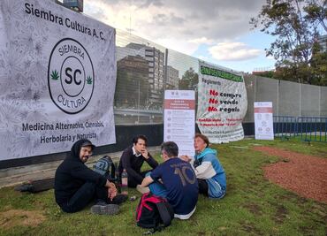 Reubican campamento cannábico del colectivo Siembra Cultura; los instalan en Plaza de la Lectura José Saramago