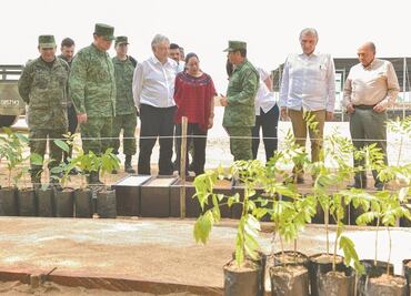 Glifosato: El tóxico que el Ejército usó en Sembrando Vida pese a que AMLO prometió no utilizarlo