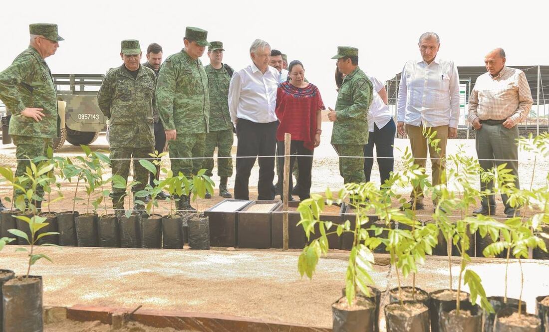 En 2019 arrancó el programa Sembrando Vida en El Salvador, con apoyo mexicano; mientras, en Honduras se prepara su arranque con respaldo de la Agencia Internacional para el Desarrollo de Estados Unidos. Fotos: Presidencia.