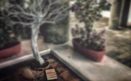 Bárbara Mori quiere "sembrar" libros