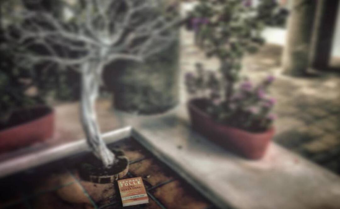 La actriz uruguaya compartió en sus redes sociales la unión del movimiento a nivel mundial para los amantes de la lectura llamada "Siembra un libro", que consiste en dejar un texto en algún lugar público. FOTO: Instagram/delamori.