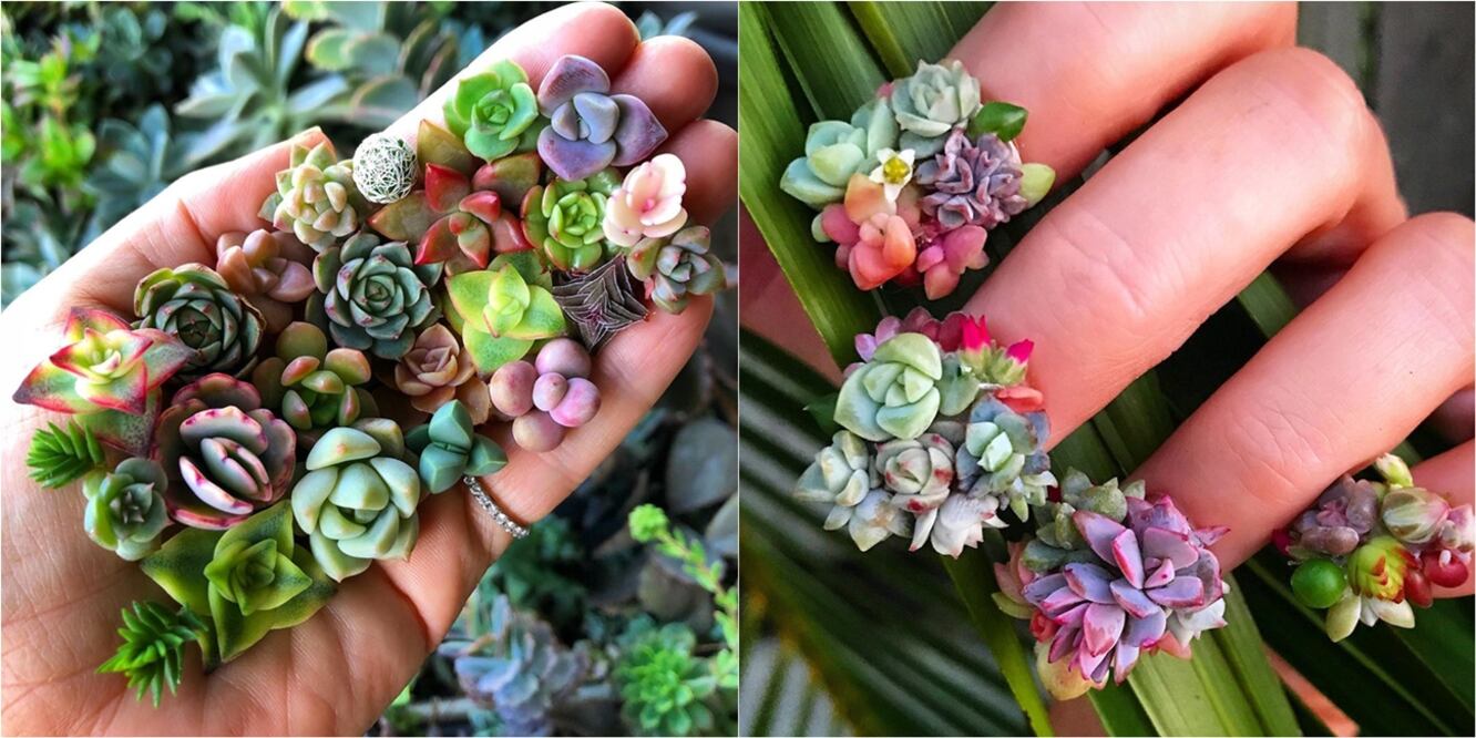 La creadora de este nail art es de Australia y con esta manicura comparte su amor por las plantas / Foto: Instagram