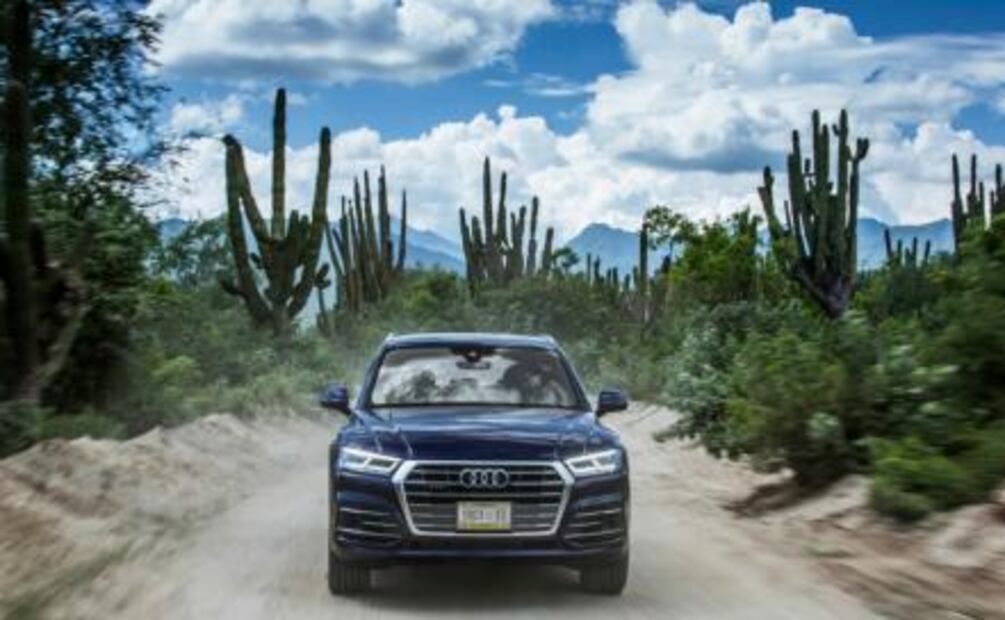 2017 será todavía  más interesante  