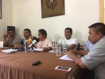 Piden apicultores prohibición del uso de agrotóxicos y fumigaciones aéreas