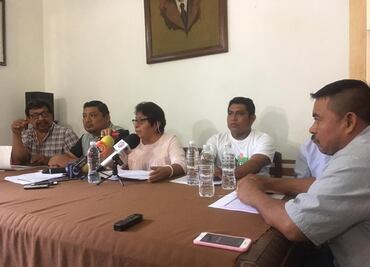 Piden apicultores prohibición del uso de agrotóxicos y fumigaciones aéreas