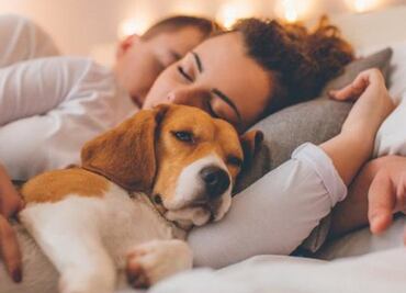 Perrhijos: Otra manera de tener familia de los millennials