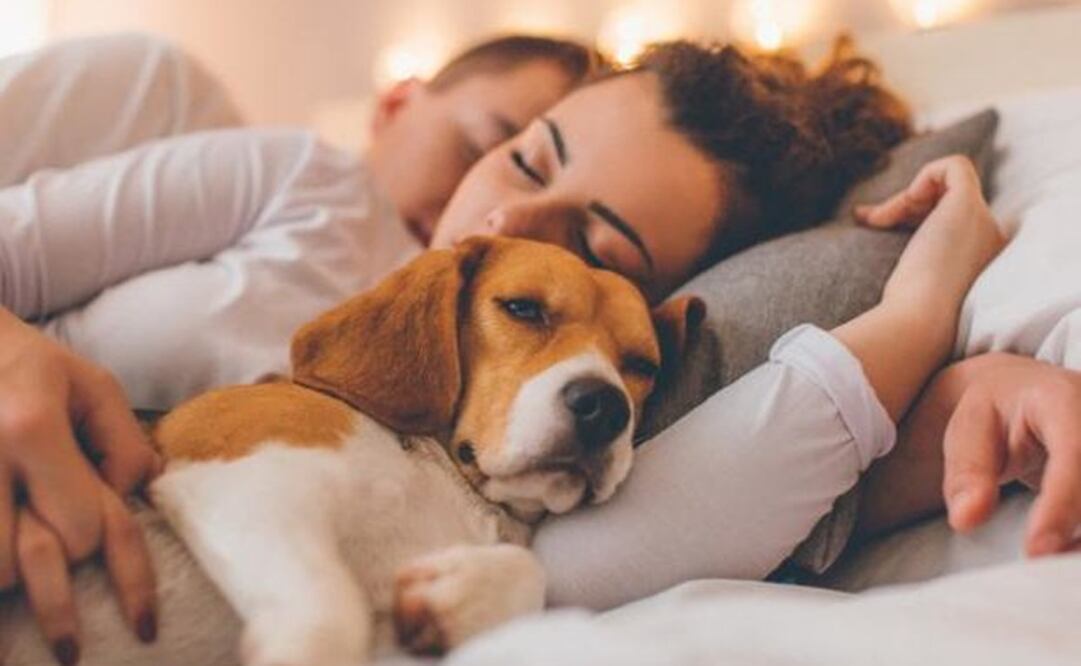 Dormir. Foto: IDEAS MILLON